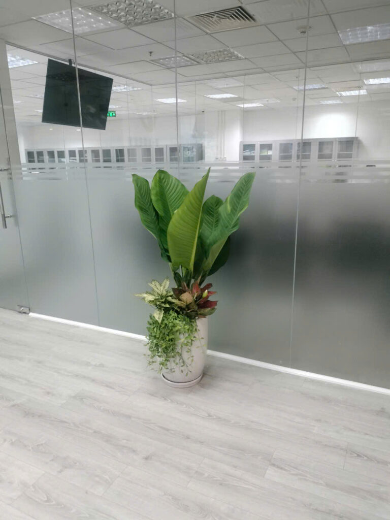 cây đại phú gia phối kết