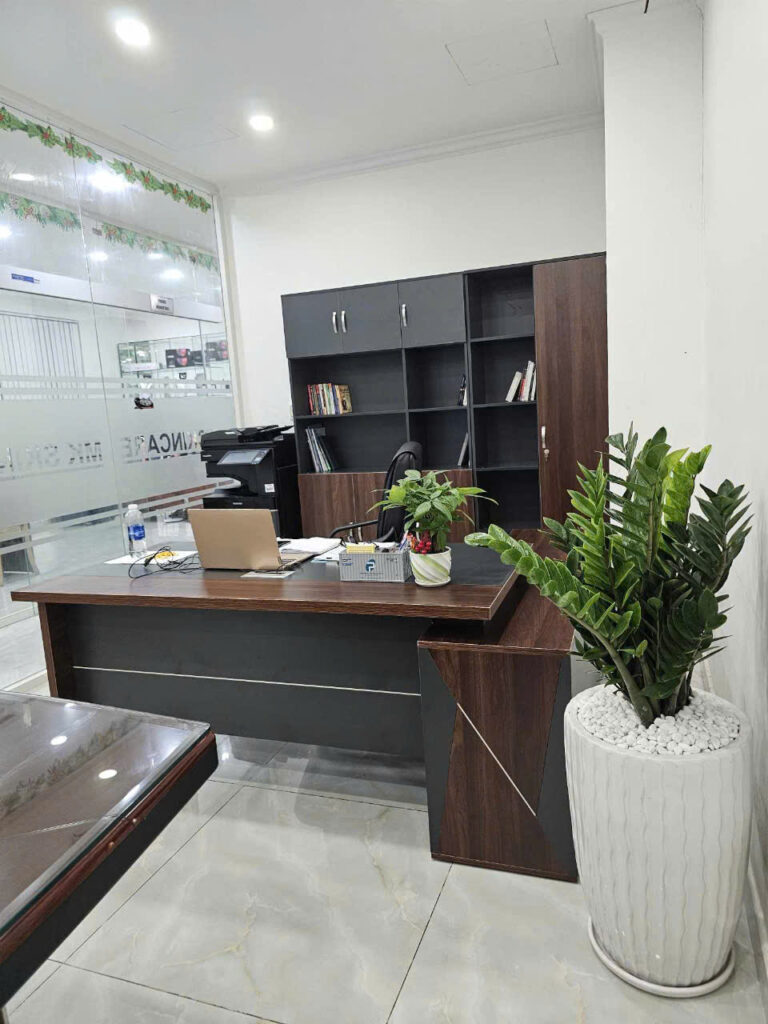 thuê cây xanh văn phòng quận 9