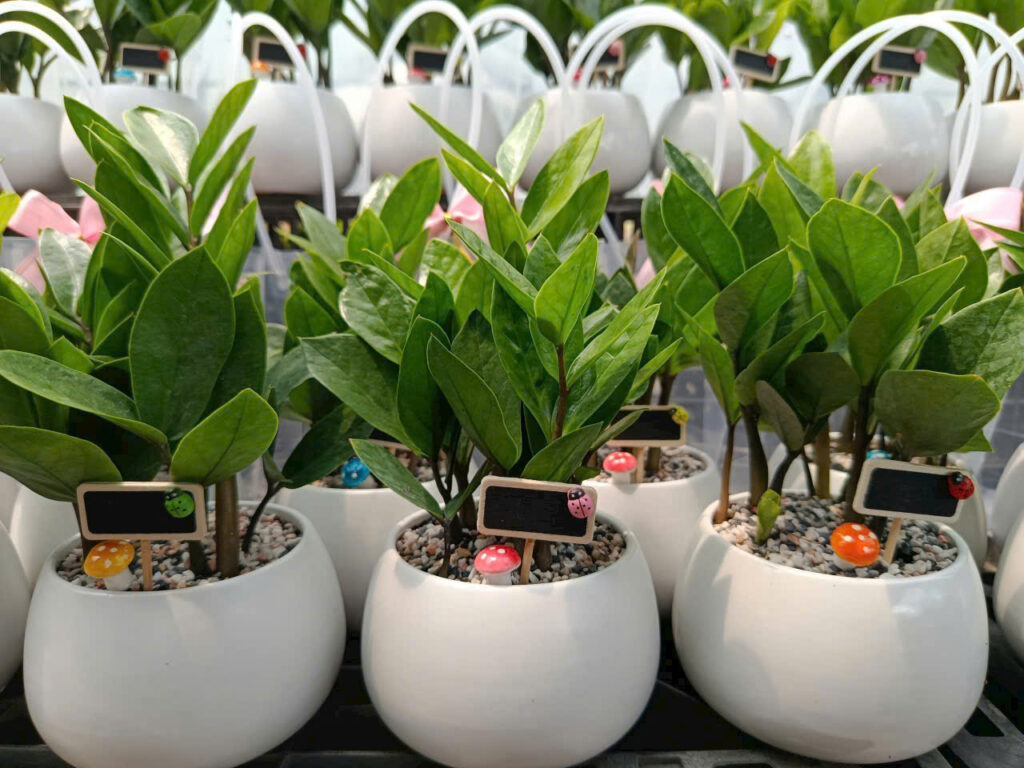 quà tặng sự kiện doanh nghiệp