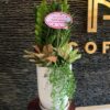 kim tiền mix tặng khai trương