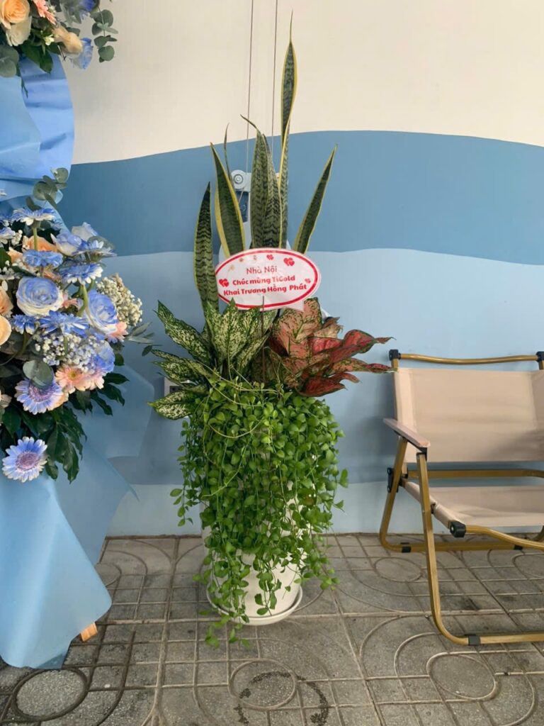 lưỡi hổ mix