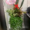 lưỡi hổ mix