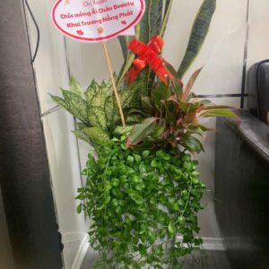 lưỡi hổ mix