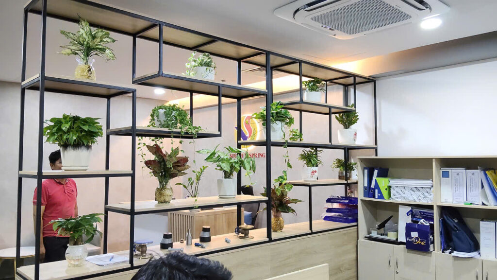 cây xanh văn phòng quận 2 quận 9 thủ đức